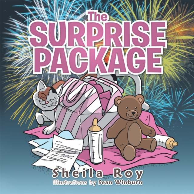 E-book Surprise Package Sheila Roy