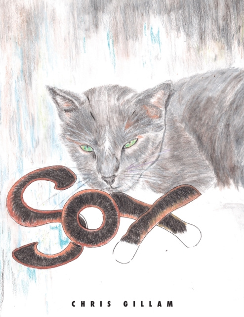 E-book Sox Chris Gillam