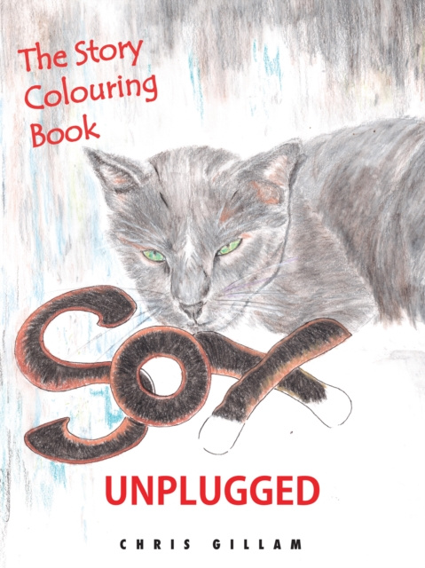 E-book Sox Unplugged Shelley Abrahamse