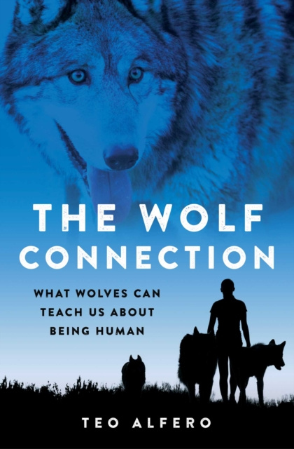 E-knjiga Wolf Connection Teo Alfero