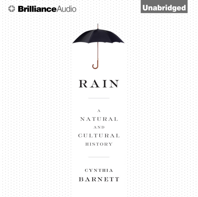 Audiokniha Rain Cynthia Barnett