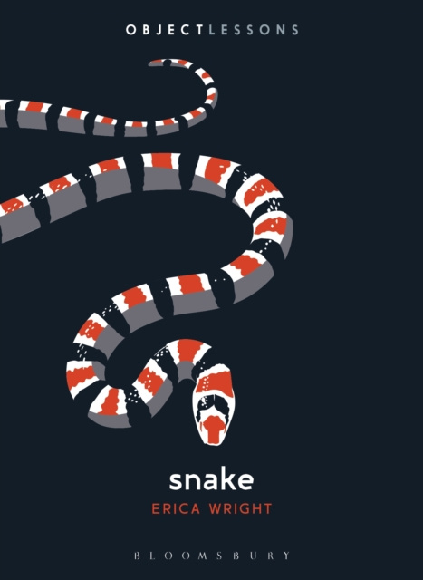 E-knjiga Snake Wright Erica Wright