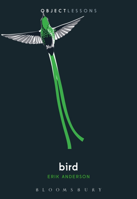 E-knjiga Bird Anderson Erik Anderson