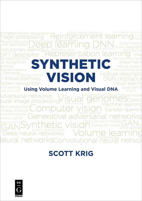 E-book Synthetic Vision Scott Krig