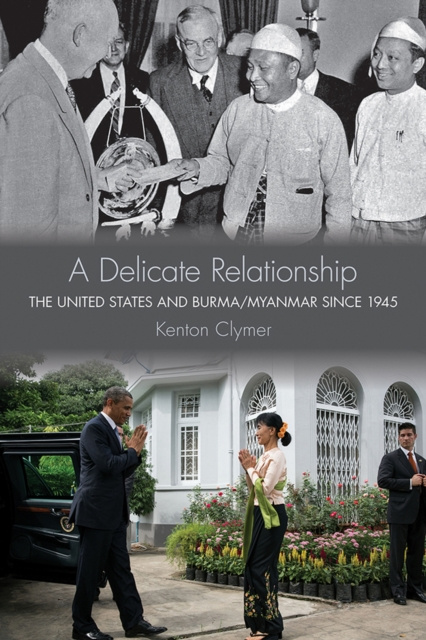 E-book Delicate Relationship Kenton Clymer
