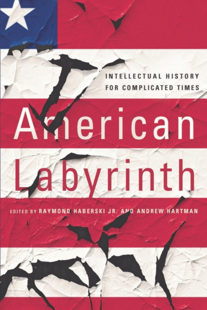 E-kniha American Labyrinth Jr. Raymond Haberski