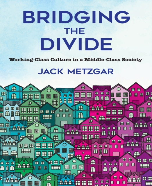 Libro elettronico Bridging the Divide Jack Metzgar