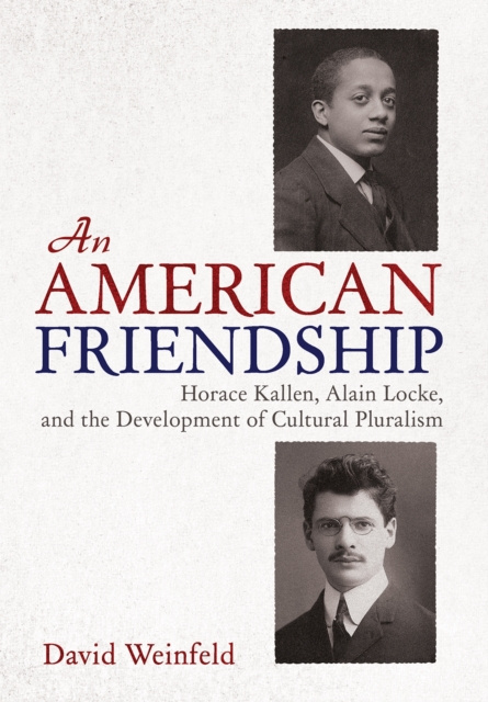 E-knjiga American Friendship David Weinfeld