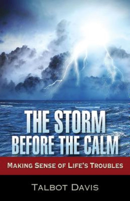 E-knjiga Storm Before the Calm Talbot Davis
