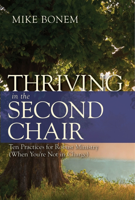 E-knjiga Thriving in the Second Chair Mike Bonem