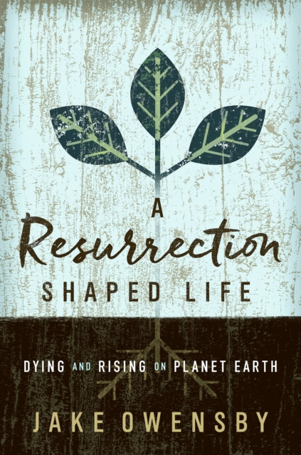 E-book Resurrection Shaped Life Jake Owensby