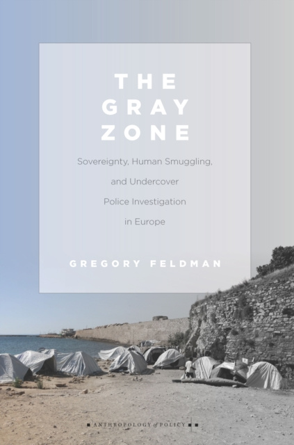 E-knjiga Gray Zone Gregory Feldman