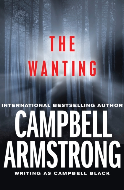 E-knjiga Wanting Campbell Armstrong