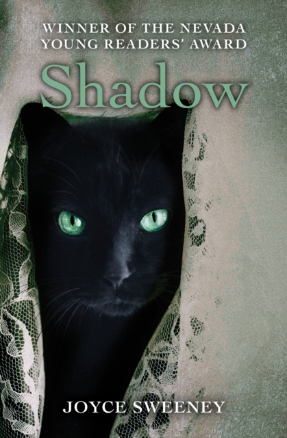 E-knjiga Shadow Joyce Sweeney