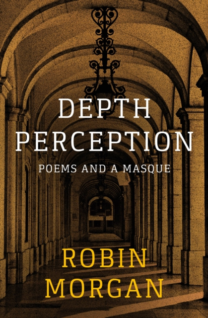E-knjiga Depth Perception Robin Morgan