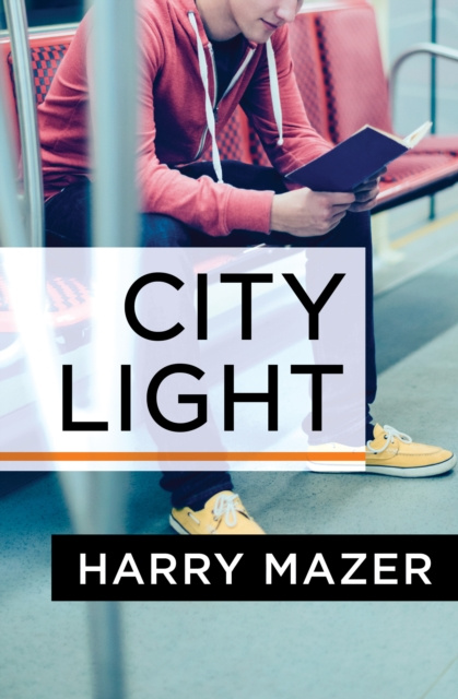 E-kniha City Light Harry Mazer