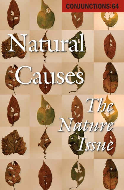 E-knjiga Natural Causes Bradford Morrow