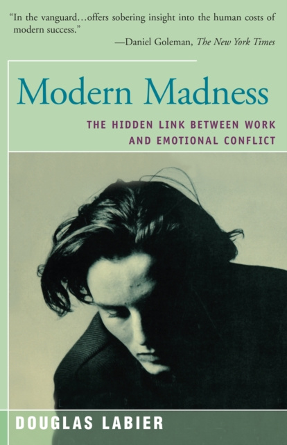 E-kniha Modern Madness Douglas LaBier