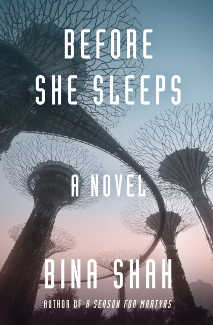 E-knjiga Before She Sleeps Bina Shah