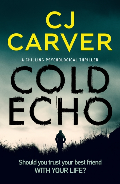 E-knjiga Cold Echo CJ Carver
