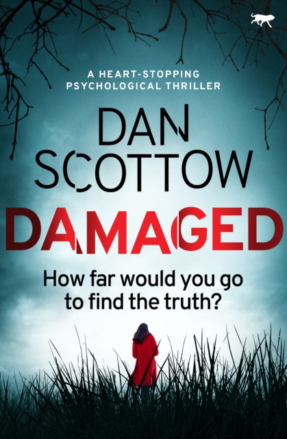 E-knjiga Damaged Dan Scottow