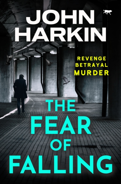 E-knjiga Fear of Falling John Harkin