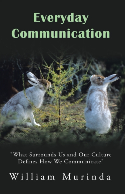 E-book Everyday Communication William Murinda