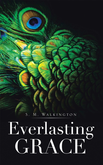 E-knjiga Everlasting Grace S. M. Walkington