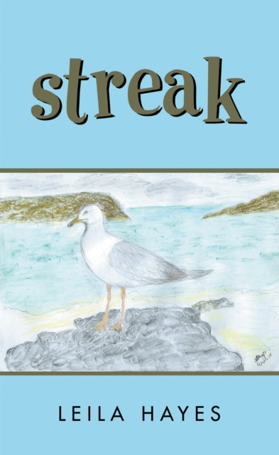 E-book Streak Leila Hayes