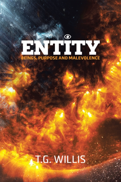 E-knjiga Entity T.G. Willis