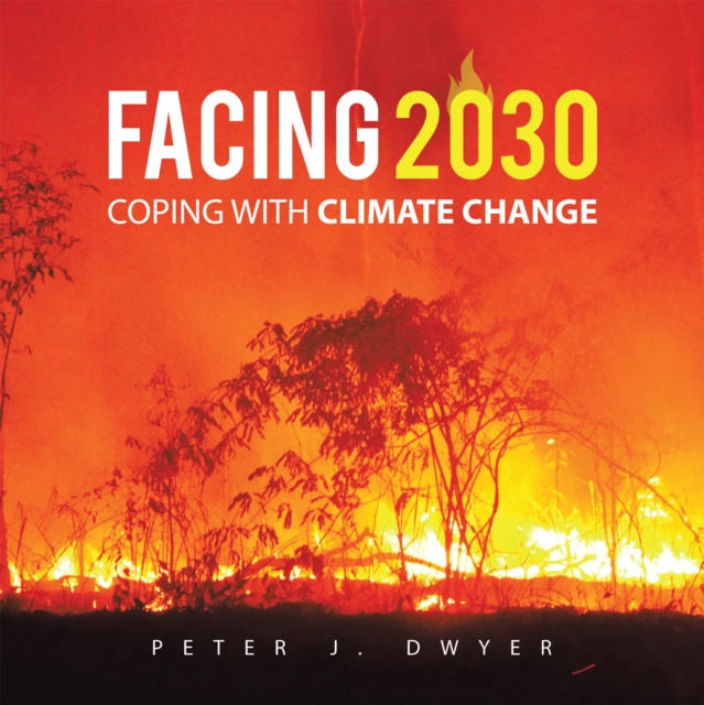 E-knjiga Facing 2030 Peter J. Dwyer