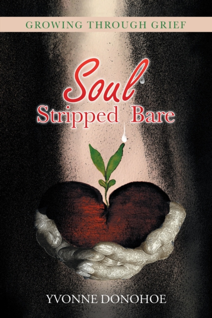 E-book Soul Stripped Bare Yvonne Donohoe