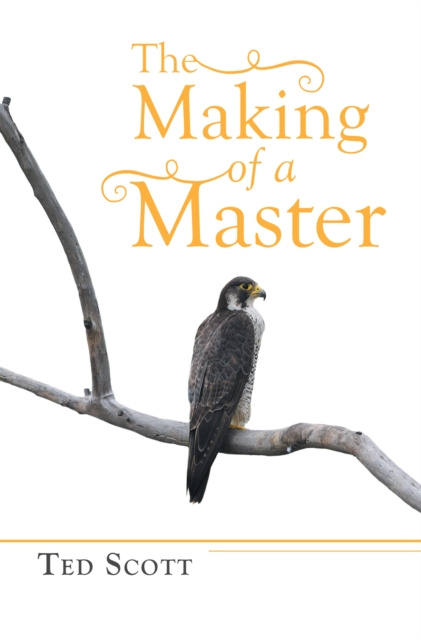 E-book Making of a Master Ted Scott