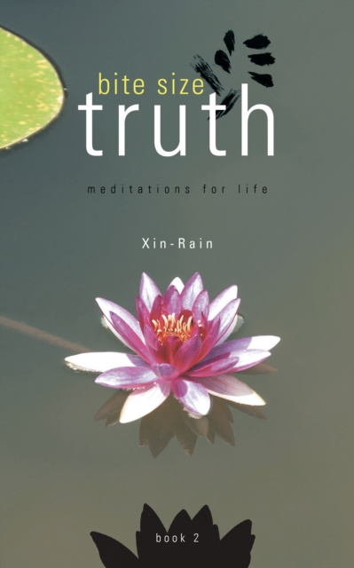 E-knjiga Bite Size Truth Xin-Rain