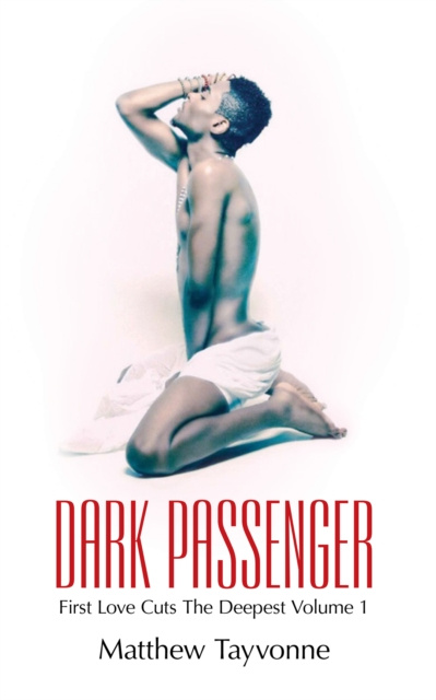 E-book Dark Passenger Matthew Tayvonne