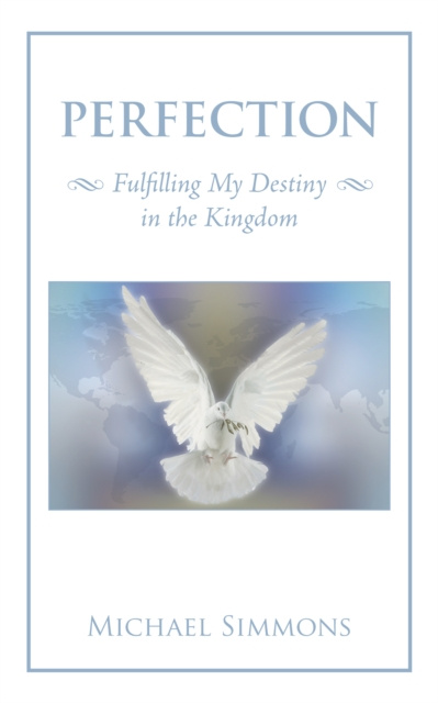 E-book Perfection Michael Simmons