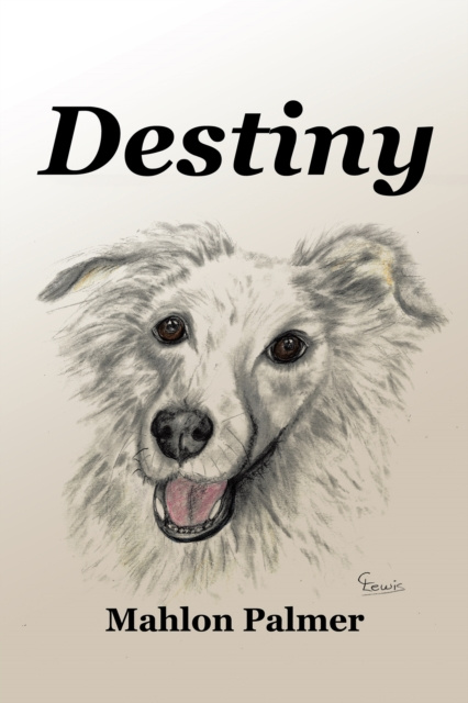 E-knjiga Destiny Mahlon Palmer