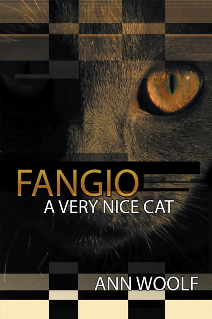 E-knjiga Fangio Joshua Allen