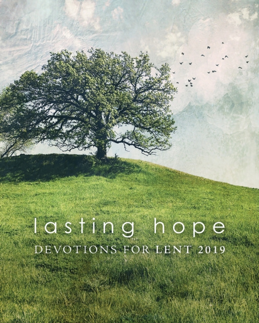 E-book Lasting Hope Nathan Hilkert