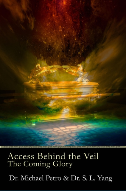E-kniha Access Behind the Veil Michael Petro