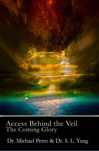 E-book Access Behind the Veil Michael Petro