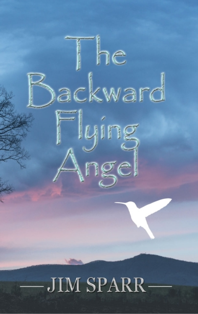 E-knjiga Backward Flying Angel Jim Sparr