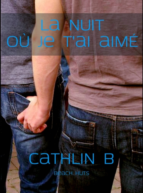 E-kniha La nuit ou je t'ai aime Cathlin B