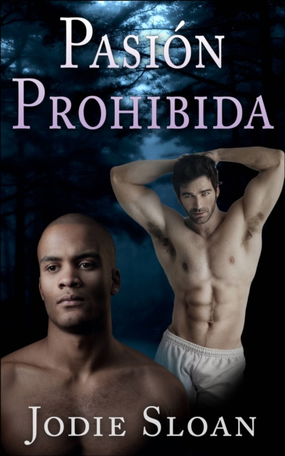 E-Book Pasion Prohibida Jodie Sloan