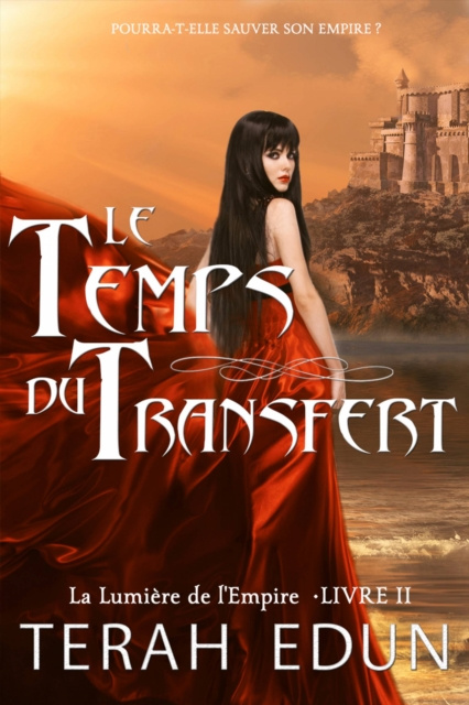 E-Book Le Temps du Transfert Terah Edun