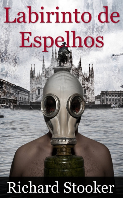 E-book Labirinto de Espelhos Ryan Davison