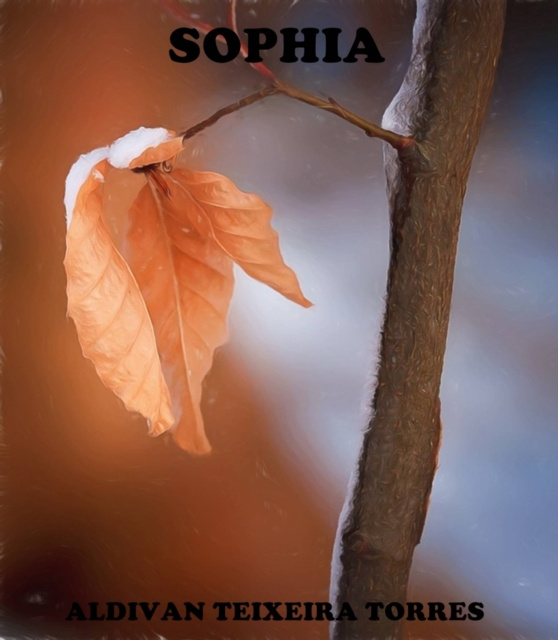 E-kniha Sophia aldivan teixeira torres