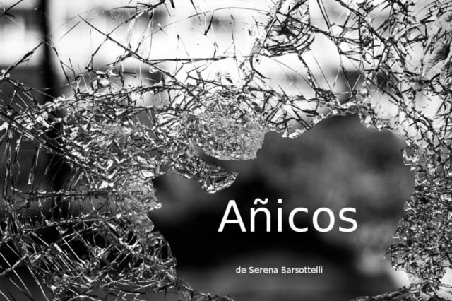 E-Book Anicos Serena Barsottelli