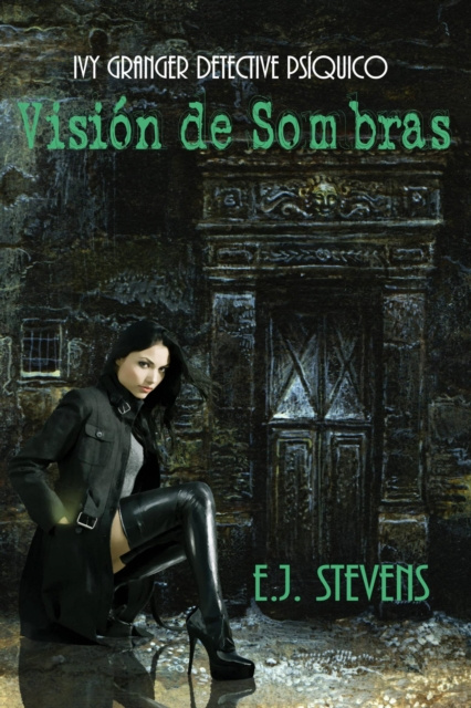 ebook Vision de Sombras E.J. Stevens