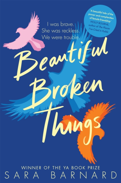 E-book Beautiful Broken Things Sara Barnard